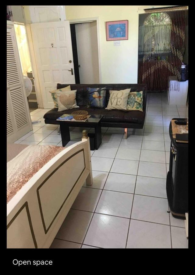#D1 Castle Studio Wifi King Bed Ocho Rios Jamaica Exterior photo